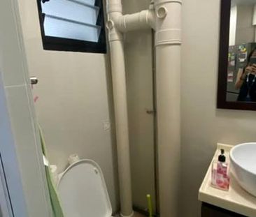 Blk 324C Anchorvale Grove (Sengkang), HDB Executive - For Rent - Photo 5