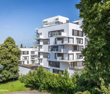 Appartement T3 à louer - 67 m² - Photo 6