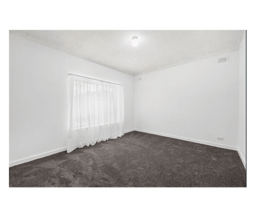 Modern Comfort in a Quiet Brooklyn Park Setting - Photo 3