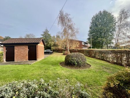 Studio to rent - Photo 5