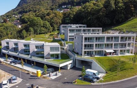 Affittiamo luminoso 2.5 locali immerso nel verde nel cuore di Pazzallo - Foto 5
