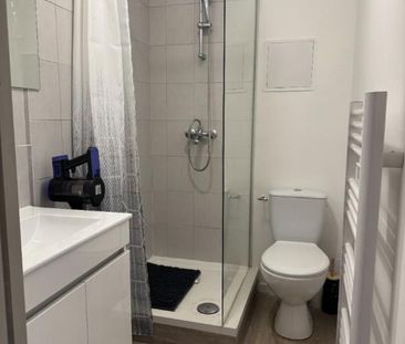 Location Appartement 1 pièce Meublé 21m² ROANNE 42300 - Photo 2