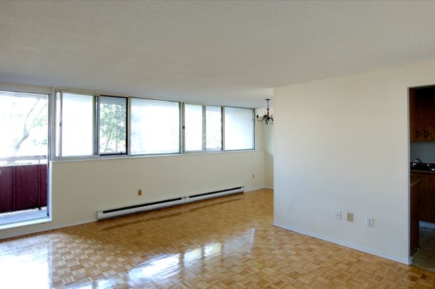 The Laurentian - Photo 1