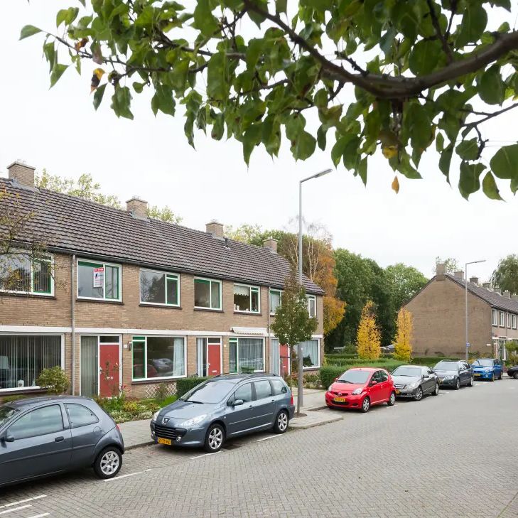 Bitterkruid 15 - Foto 2