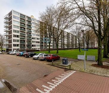 Ierlandstraat 2034 LR Haarlem - Photo 3