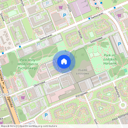 Okoniowa, Radogoszcz, Bałuty, Łódź, łódzkie