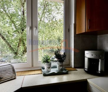 Pomorzany, ul. Włościańska, Szczecin – zdjęcie 6