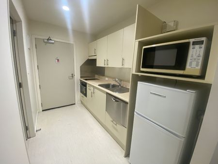 Studio apartment on The Terrace - Photo 4