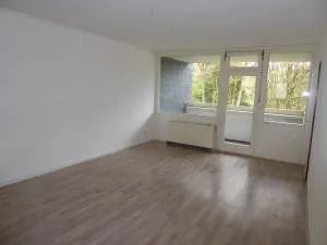 Tageslichthelle 3-Zimmer-Wohnung mit Balkon - Photo 5