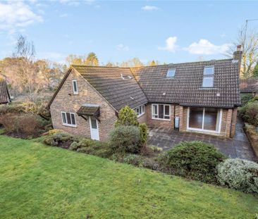 4 bedroom bungalow to rent - Photo 1