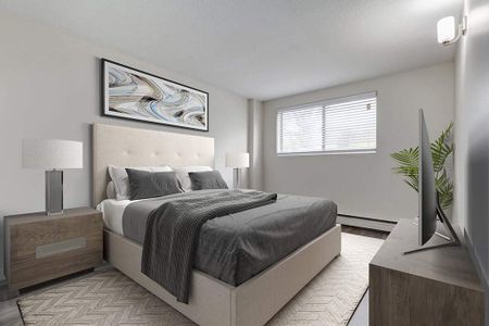 Renovated Suite - 2 Bedroom - Photo 2