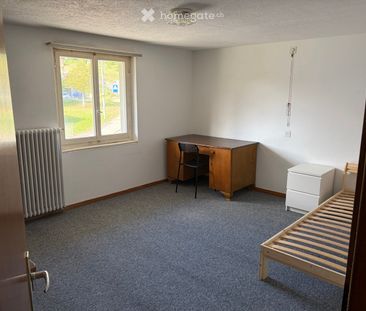 Zimmer zu Vermieten - Photo 1