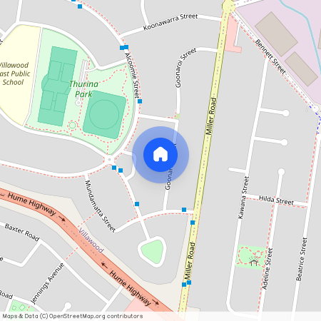 44 Goonaroi Street, NSW 2163, Villawood