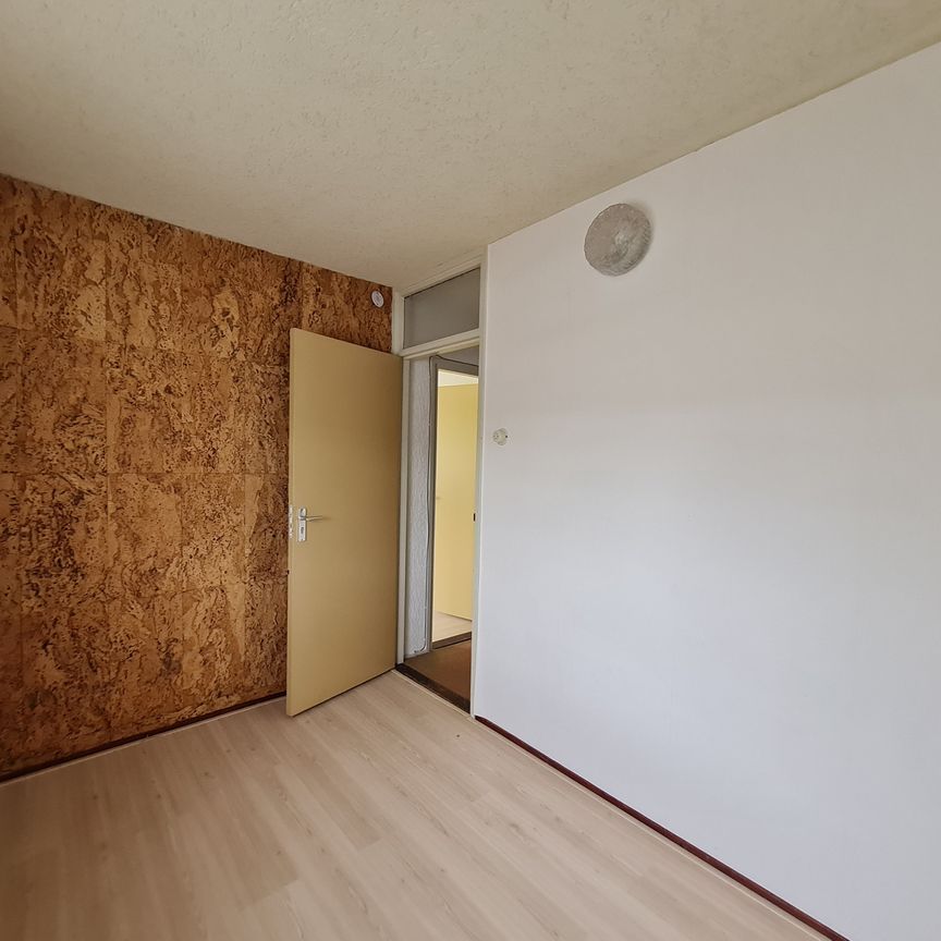 Te huur: Kamer Meijhorst 5049 02 in Nijmegen - Photo 1