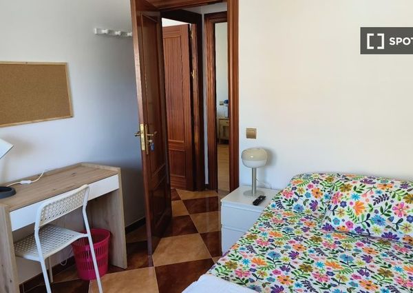 malaga, Andalusia 29006