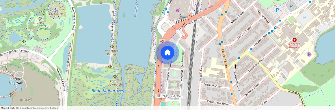 P01/6 Wentworth Drive, NSW 2138, Liberty Grove
