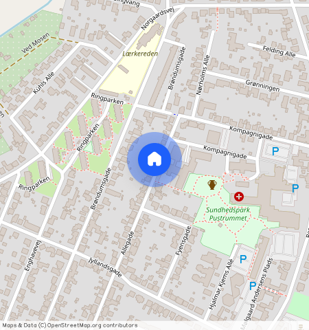 Allegade 53 Kælderen TH 7800 Skive