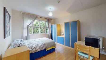 Flat share to rent - Photo 5