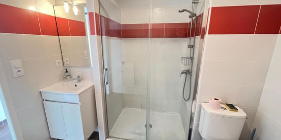 Location Appartement 1 pièce 29m² ALBI 81000 - Photo 3