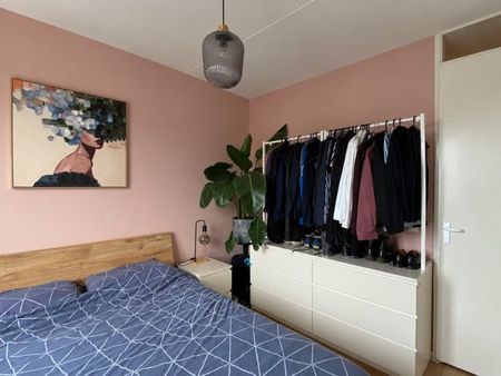 Te huur: Appartement Piet Mondriaanplein in Amersfoort - foto 5
