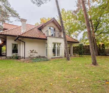 Blisko stacji PKP | Starodrzew - Zdjęcie 3