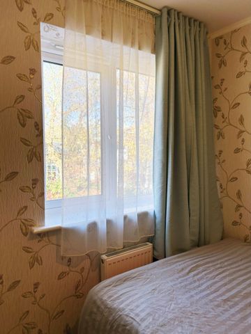 Scholar Avenue - Photo 5