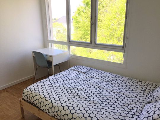 Perfect flatshare close to Audencia (5mn by foot) - Photo 1