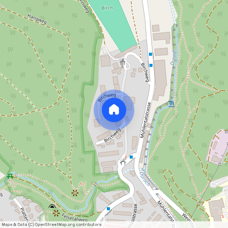 8200, Schaffhausen, Birchweg, 41