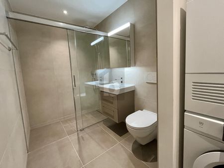 FIRST-USE: LARGE BALCONY, VIEW OF THE ÜETLIBERG - Photo 5