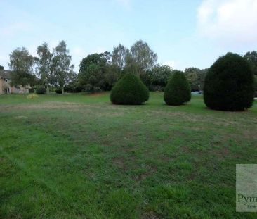Ellis Gardens, Keswick Hall, NR4 - Photo 5
