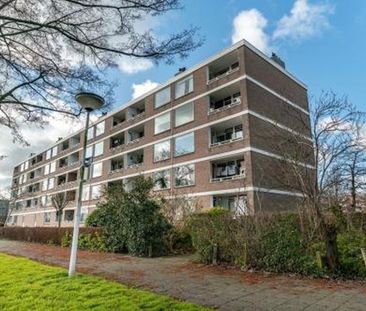 Paramaribostraat 2315 Leiden - Foto 1