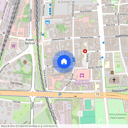 ul. Jana Matejki 1, Leszno, wielkopolskie