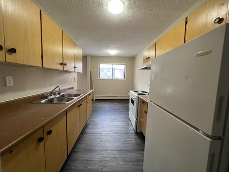 Pet Friendly 2 Bedroom 1 Bathroom Apartment - Photo 3