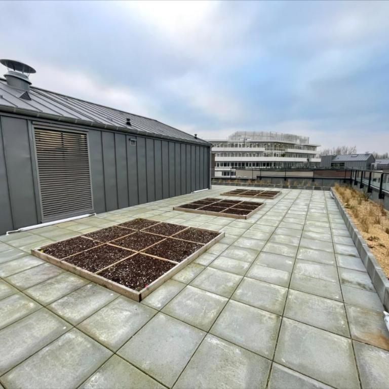 LA MADELEINE - Sensorium - appartement T3 à louer avec loggia, terrasse et parking - Photo 1