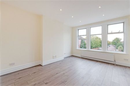 Olive Road - Photo 5