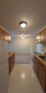 Great Location! Spacious One bedroom & Den - Photo 4