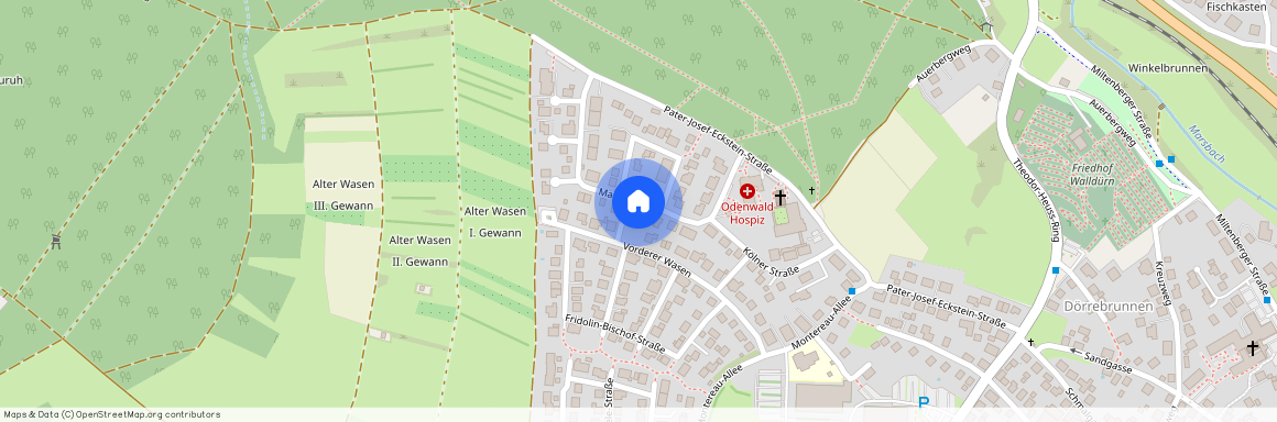 Mainzer Ring 13, 74731 Walldürn