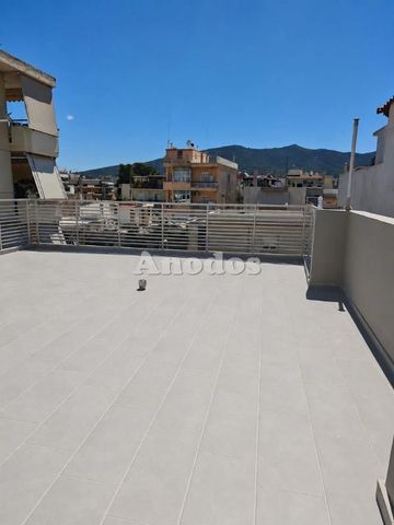 Μεζονέτα για ενοικίαση Νέο Ψυχικό - Photo 4
