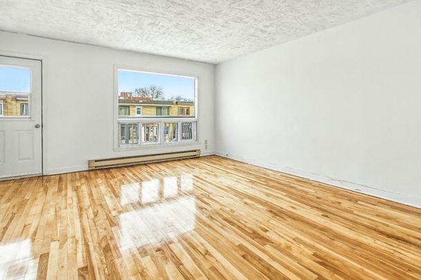 7336 8e Avenue, H2A 3C9, H2A 3C9, Montréal - Photo 1