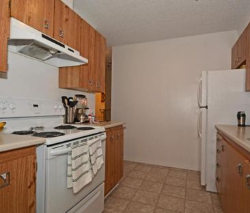 294-300 Main Avenue - Photo 3