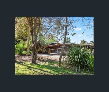 22 Collins Street, Red Hill, Vic 3937 - Photo 6