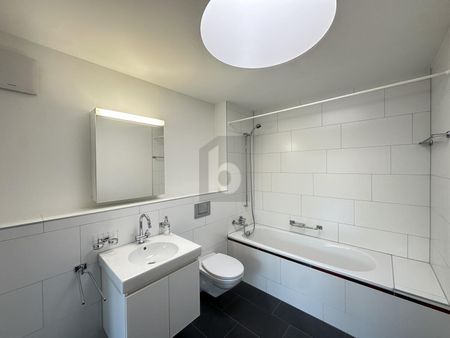 DIREKTER LIFTZUGANG MIT GROSSEN TERRASSEN - Photo 5