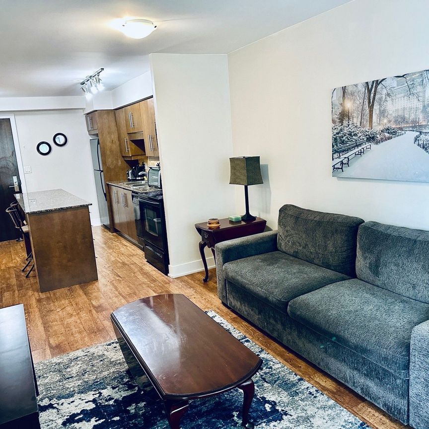 For Lease - 20 Blue Jays Way Unit# 909, Toronto, Ontario - Photo 1