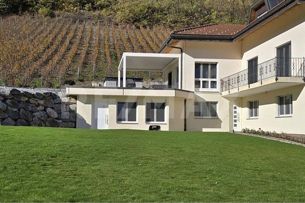 1.5 room apartment - Photo 1