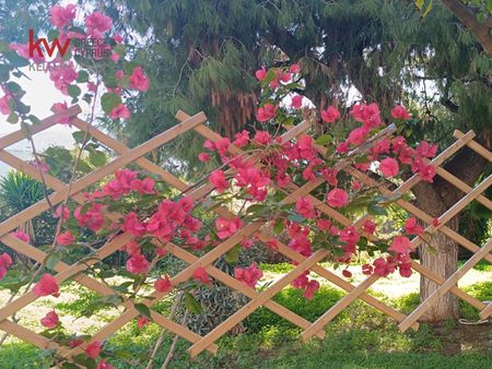 Διαμέρισμα για ενοικίαση Καλύβια Θορικού - Φωτογραφία 3