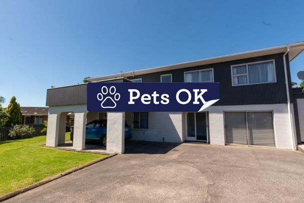 Bright, Calm & Pet-Friendly Home in Glendene - Photo 1