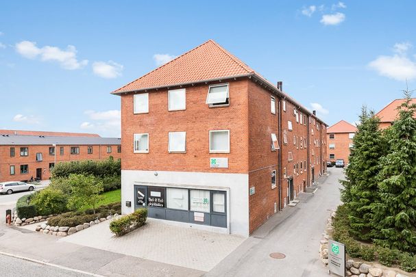 Afd. 16 Kodammen 3 - Photo 1