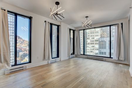 Condo for rent, Montréal (Ville-Marie) - Photo 4