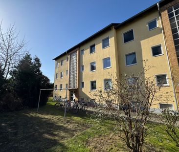 Das Glück hat ein Zuhause - Foto 3