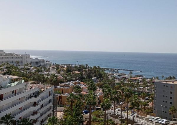 Apartamento de alquiler en Calle Guatemala, 4, Playa de las Américas